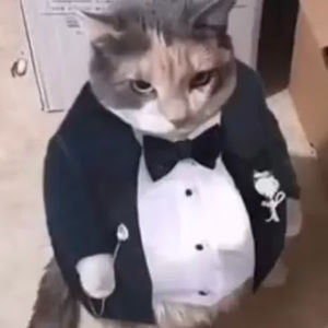 Meet your Posher, Ethan